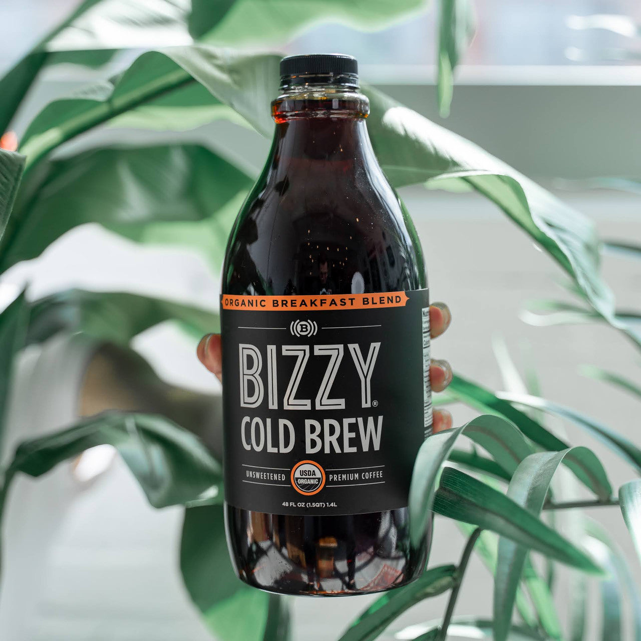 Bizzy Organic Cold Brew Coffee Concentrate Breakfast Blend - Case of 6 (48oz)