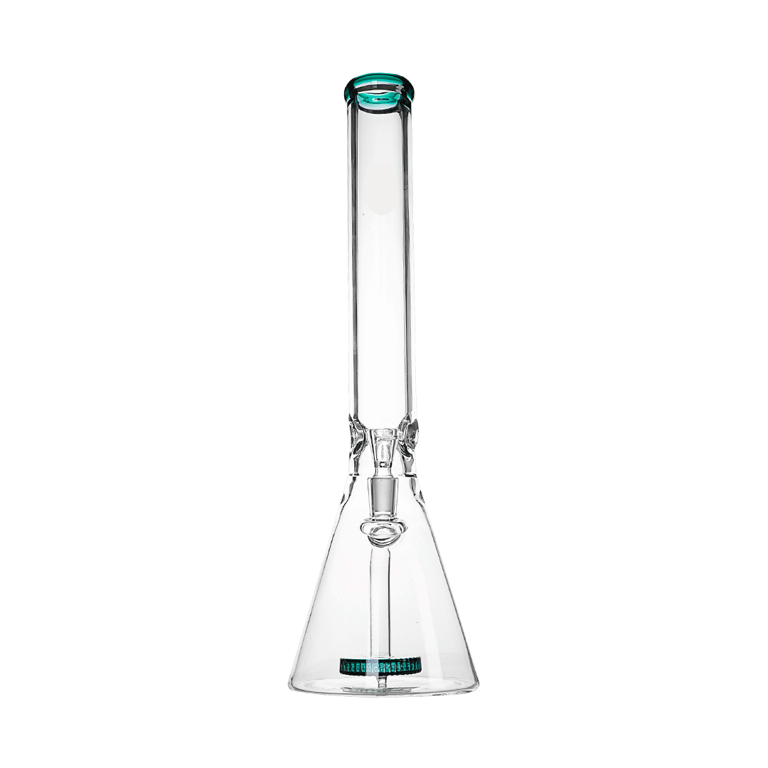HEMPER Beast Bong | 12" Glass Water Pipe with Dual Percolators