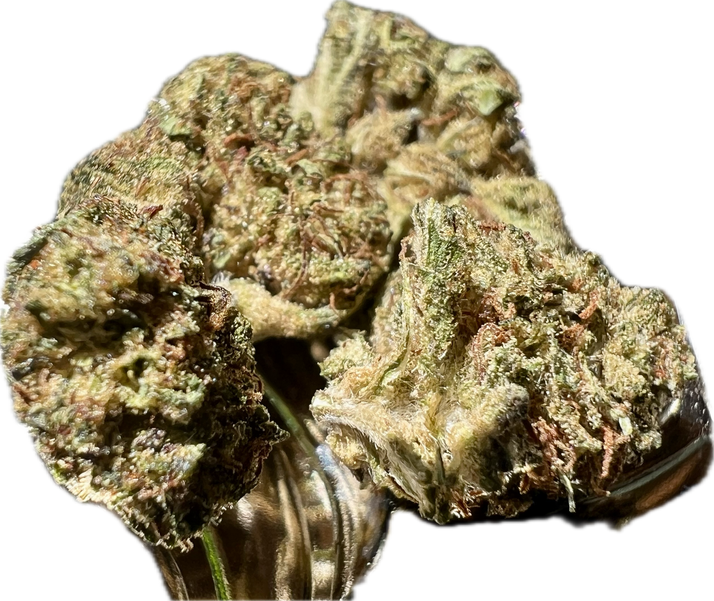 Ripkitty Legendary Kush | CBD Hemp Flower