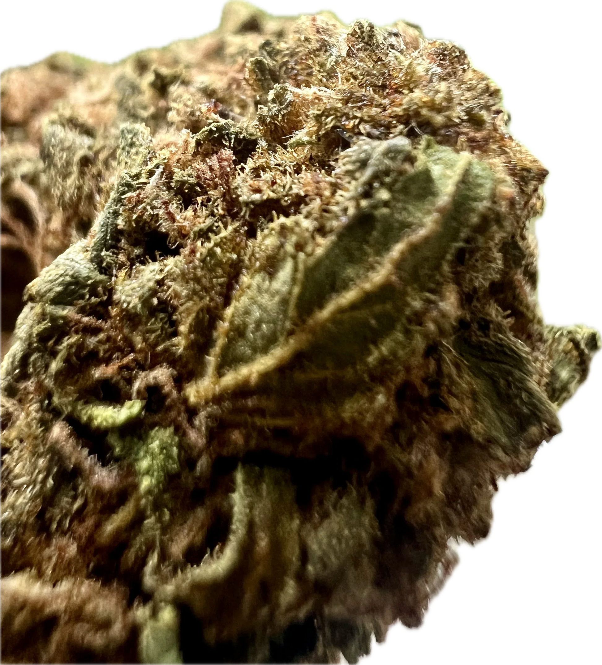 Crack Smuggler THCA Hemp Flower | Premium Indoor | Lab-Tested - We The People 