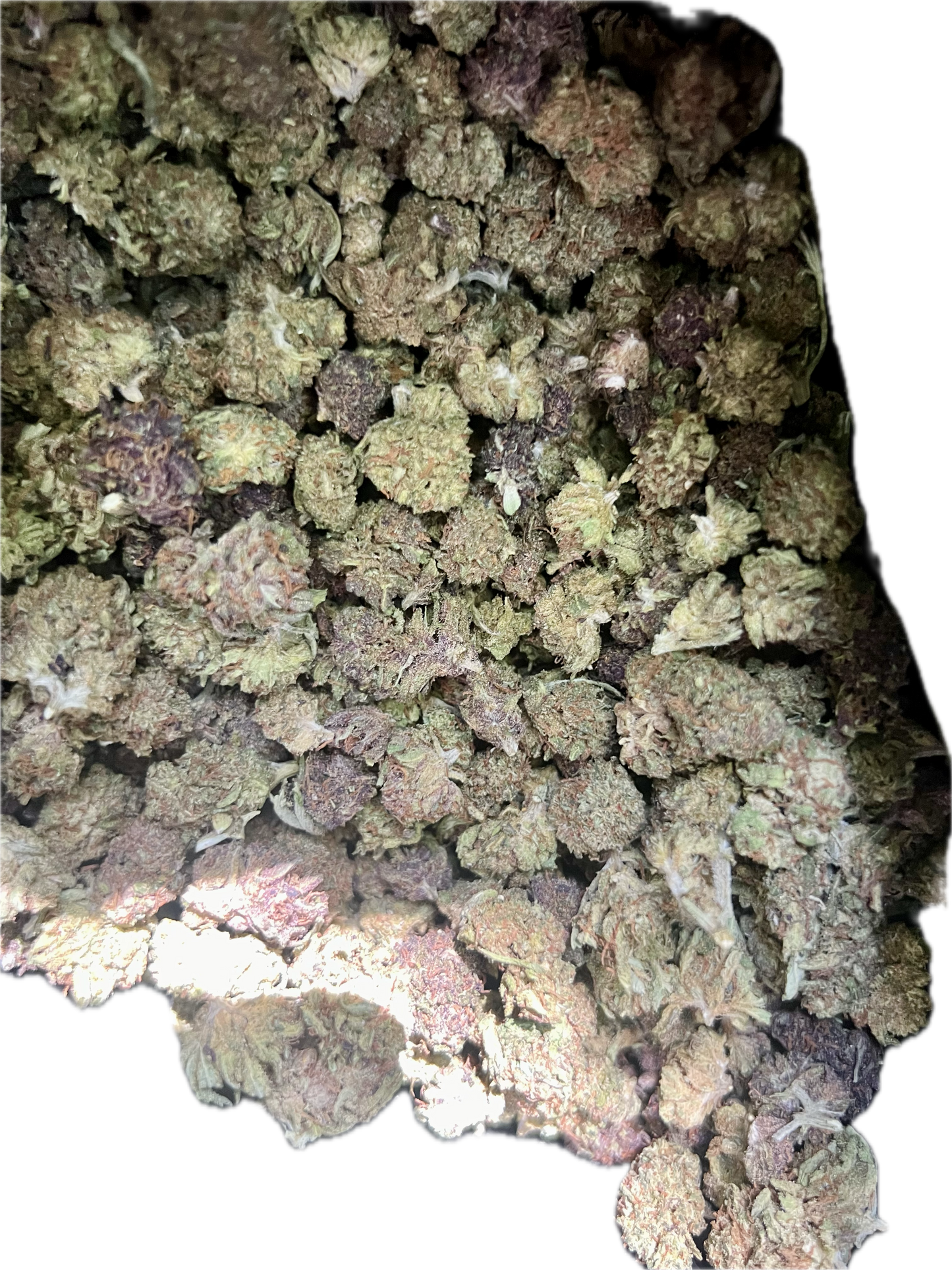 Ripkitty Legendary Kush | CBD Hemp Flower