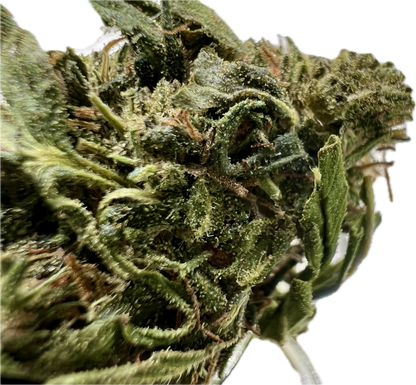 Ripkitty Forbidden V CBD Hemp Flower | High-CBD | Premium Indoor - We The People 