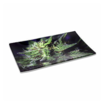 Pulsar Elevated Rolling Tray Kit | Opossum Design 11" x 7"