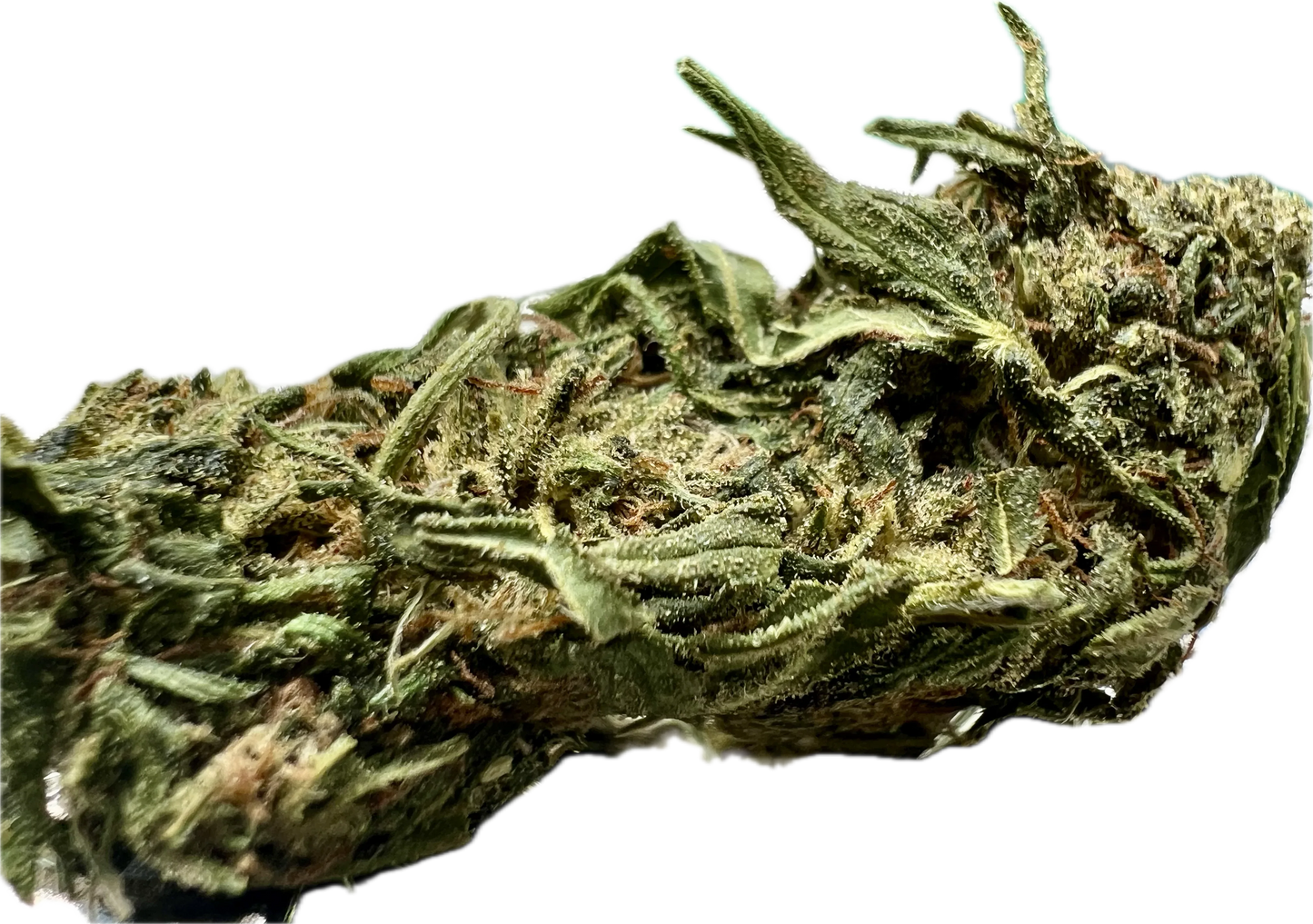 Ripkitty Forbidden V CBD Hemp Flower | High-CBD | Premium Indoor - We The People 