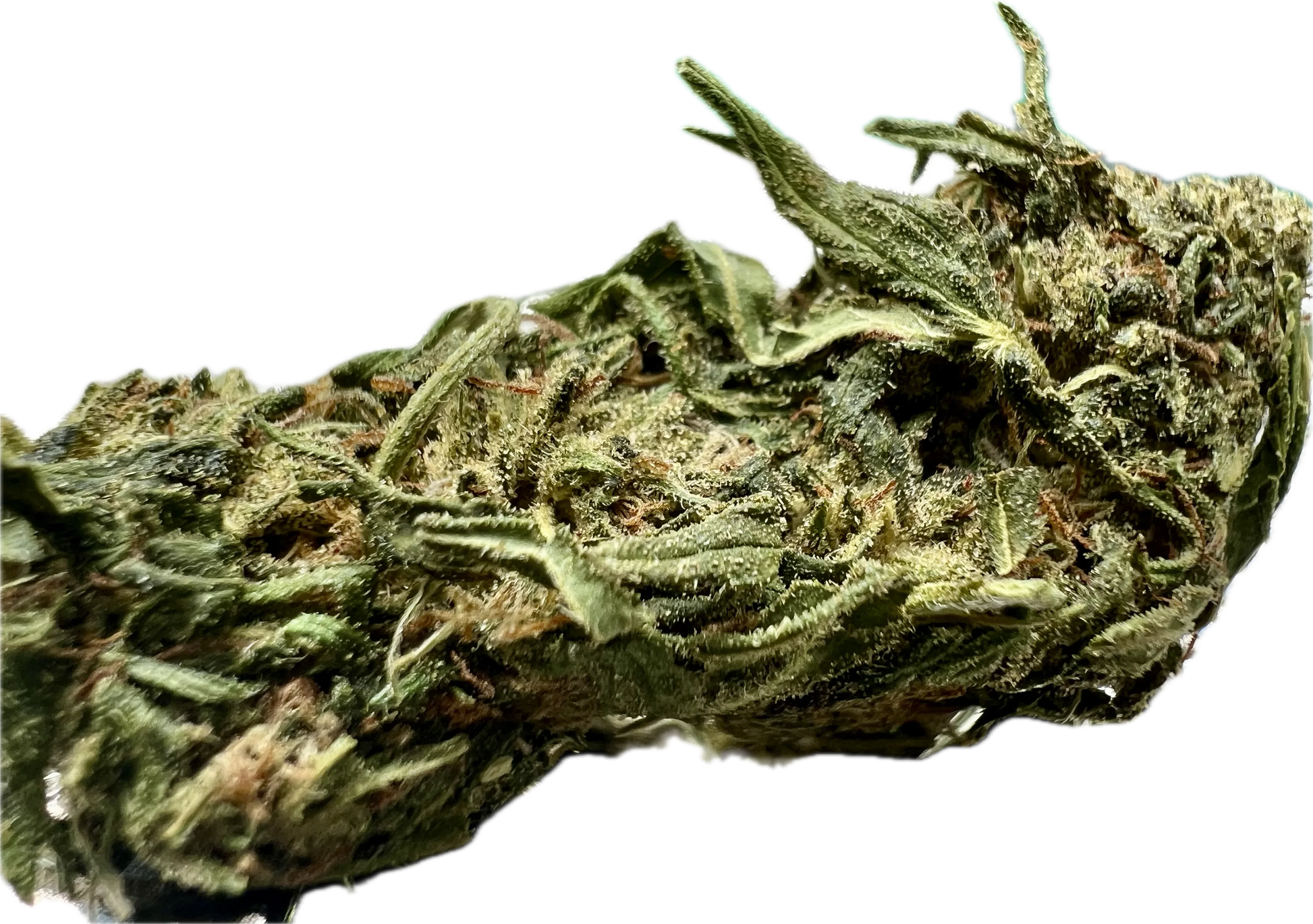 Ripkitty Forbidden V CBD Hemp Flower | High-CBD | Premium Indoor - We The People 