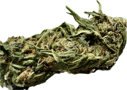 Ripkitty Forbidden V CBD Hemp Flower | High-CBD | Premium Indoor - We The People 