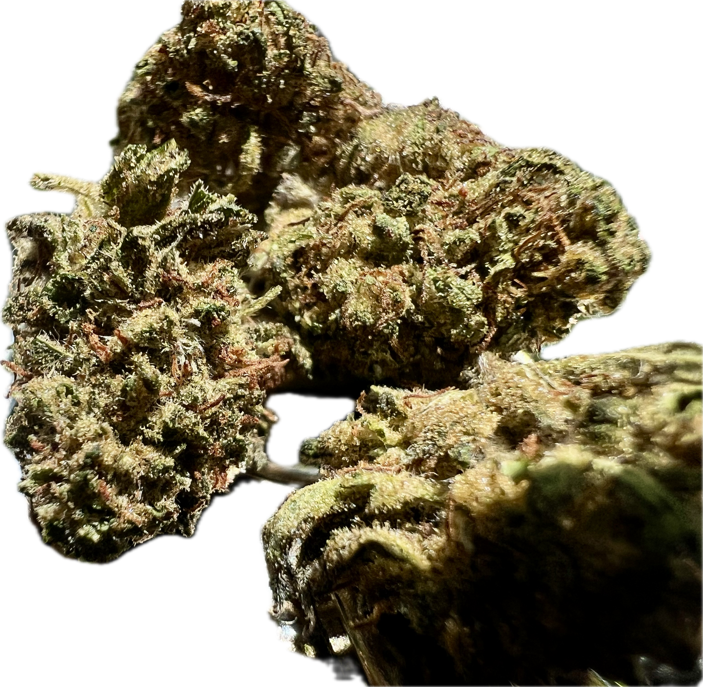 Ripkitty Legendary Kush | CBD Hemp Flower