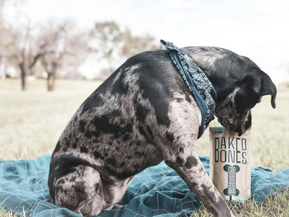 Baked Bones CBD Dog Treats 180mg Peanut Butter Apple - We The People 