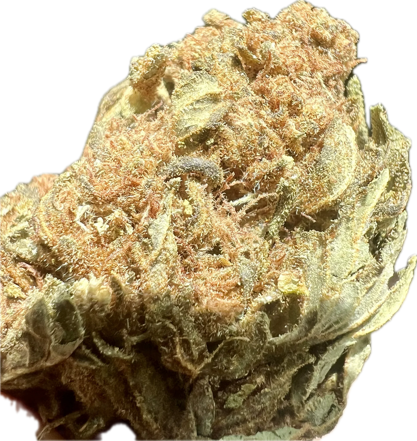 Crack Smuggler THCA Hemp Flower | Premium Indoor | Lab-Tested - We The People 