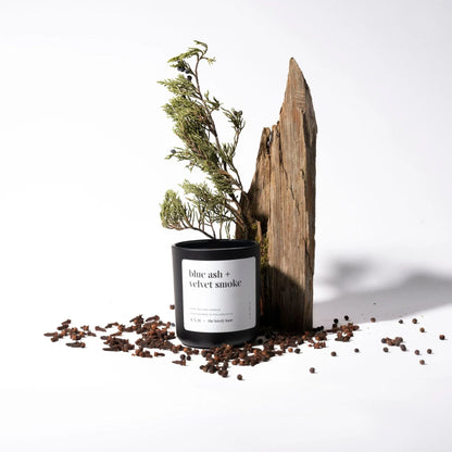 ASH x Lovely Haze: Blue ASH + Velvet Smoke - We The People 