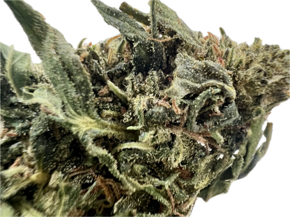 Ripkitty Forbidden V CBD Hemp Flower | High-CBD | Premium Indoor - We The People 