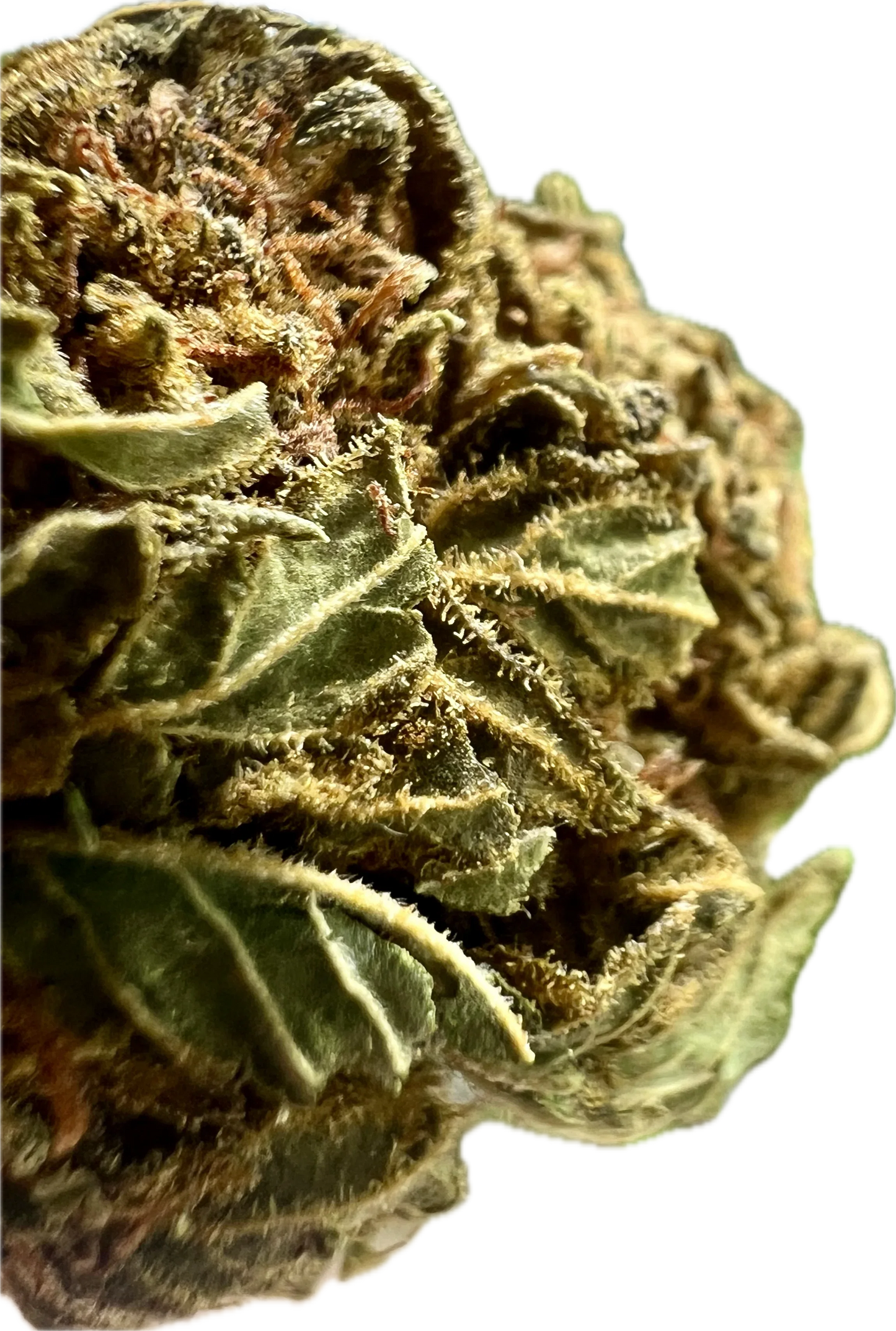 Crack Smuggler THCA Hemp Flower | Premium Indoor | Lab-Tested - We The People 