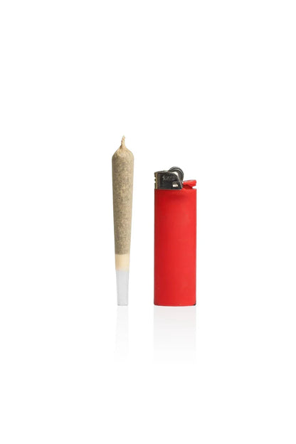 GRAV Tall Kings Pre-Roll Cones with Quartz Tip | 5-Pack Glass Filter - We The People 