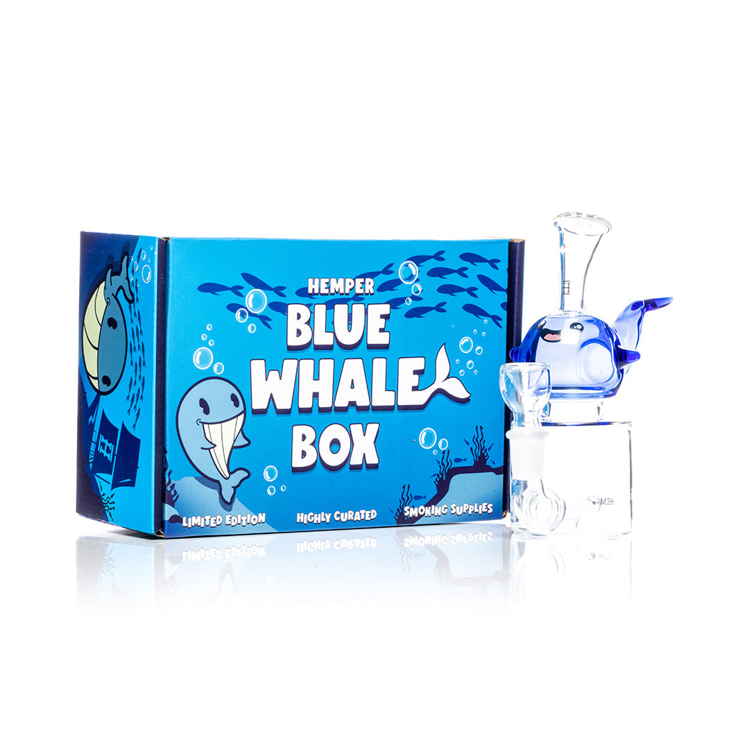 HEMPER Blue Whale Bong | 6.5" Glass Water Pipe