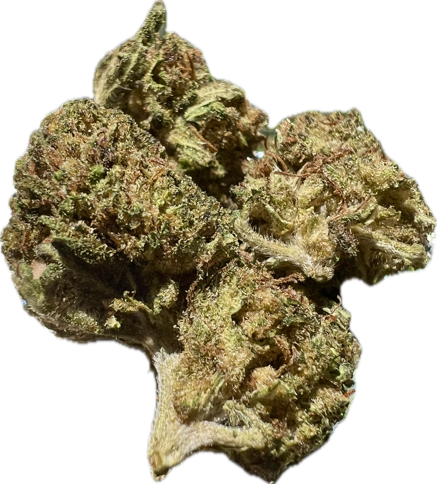 Ripkitty Legendary Kush | CBD Hemp Flower