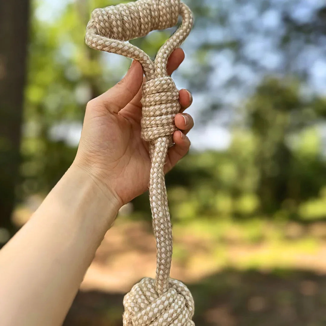 Forest Knot Hemp Rope Tug Toy with Handle 12.5" - We The People 