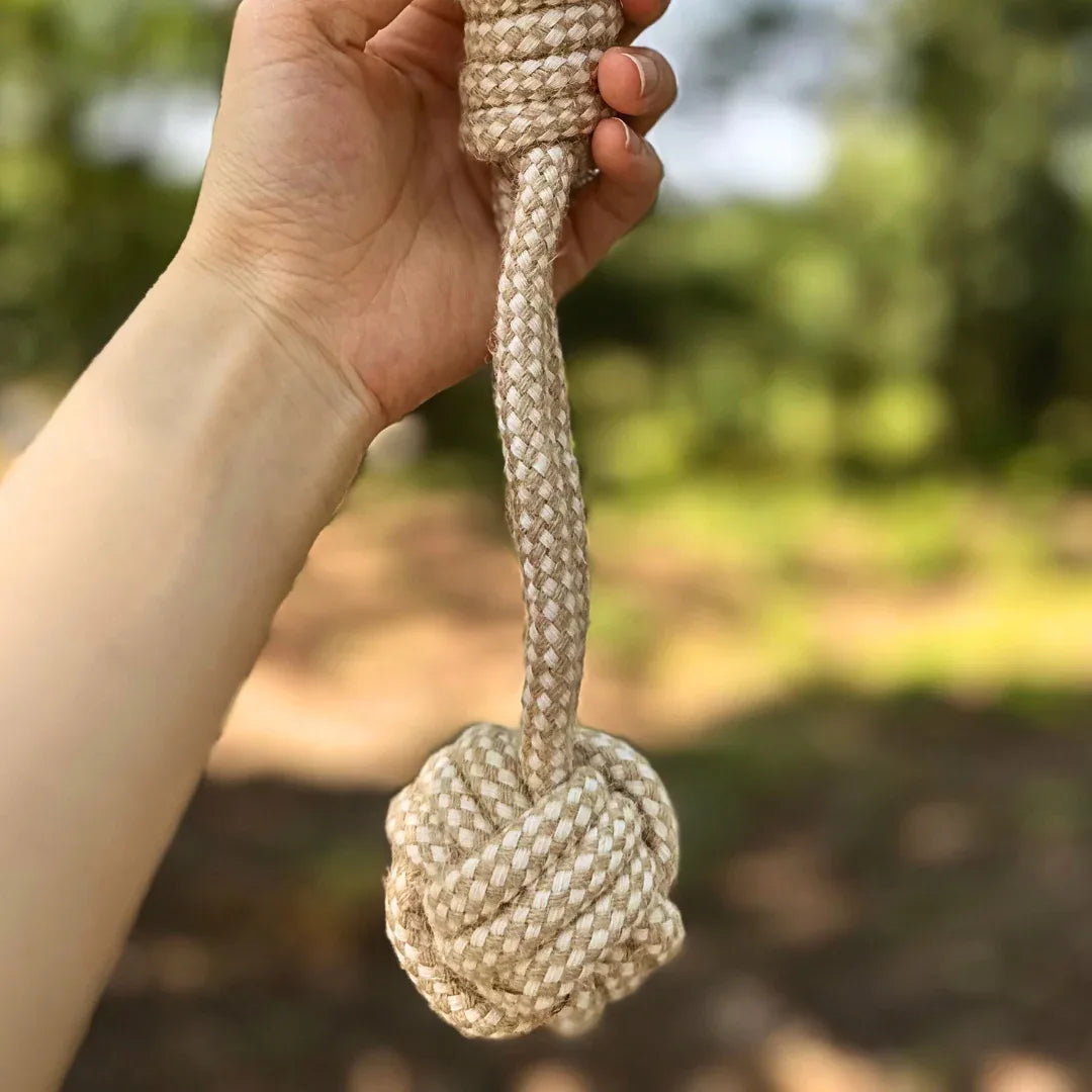 Forest Knot Hemp Rope Tug Toy with Handle 12.5" - We The People 