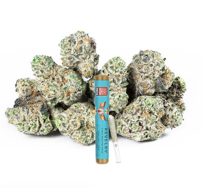 Sampler Edition Indoor THCA Pre-Rolls | 0.5g | 2-Pack - We The People 