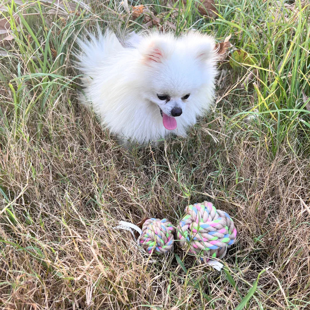 Natural Hemp Rope Ball Dog Toy Recycled Cotton - We The People 