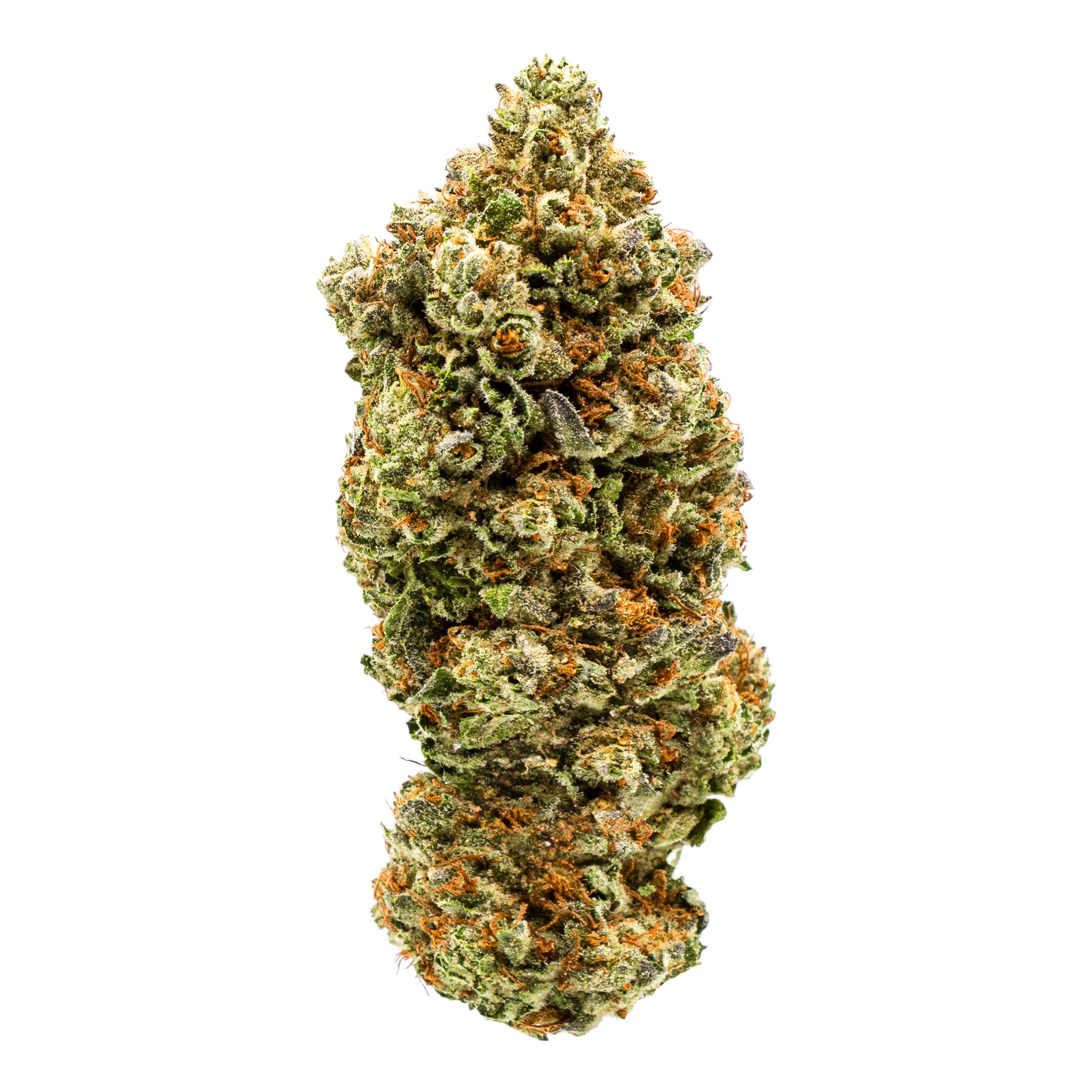 THCA Flower – Lambo – BULK – Nitrogen-Sealed Bags