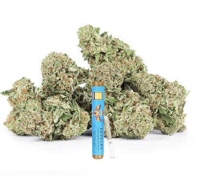 Sampler Edition Indoor THCA Pre-Rolls | 0.5g | 2-Pack - We The People 