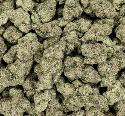 Multiple Strains Premium Indoor THCA Pre-Rolls | 0.5g | 7-Pack - We The People 