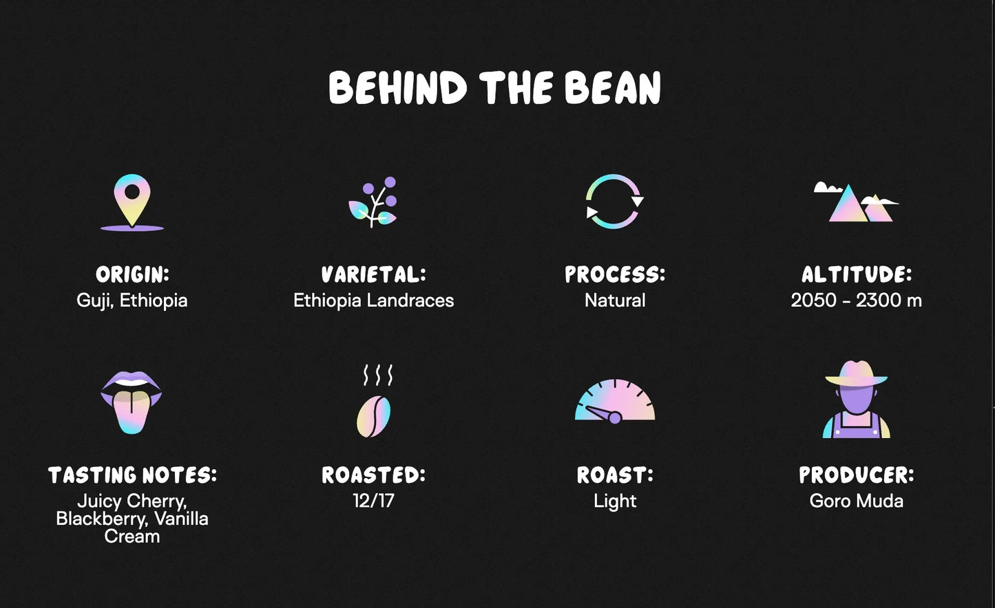 Supernatural™ - Medium Roast - We The People 