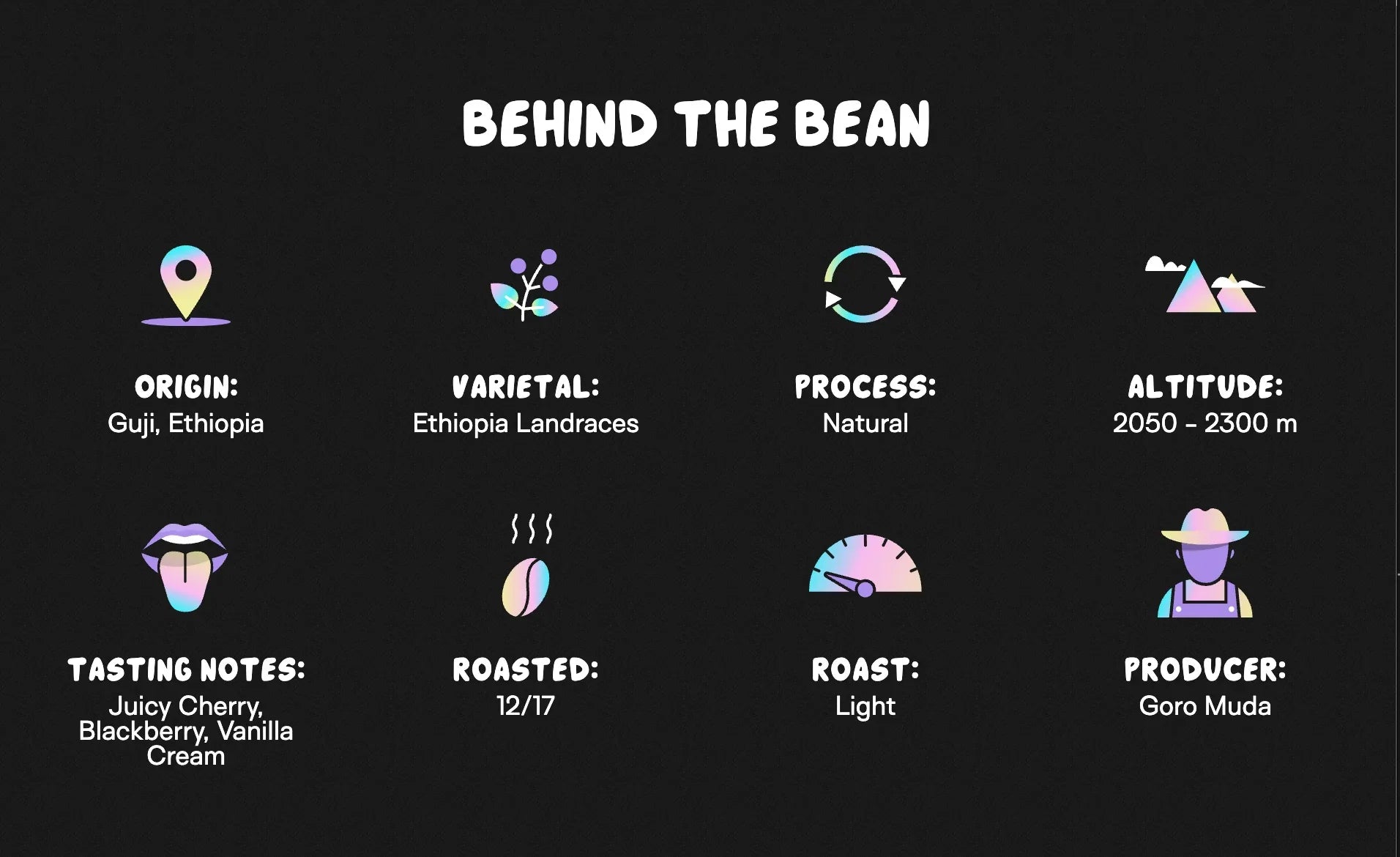 Supernatural™ - Medium Roast - We The People 