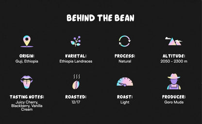 Supernatural™ - Medium Roast - We The People 