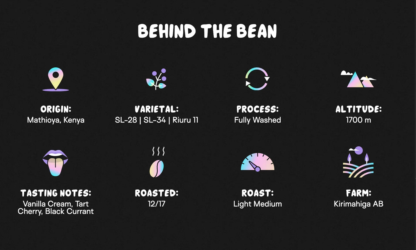 New Light™ - Medium Roast - We The People 