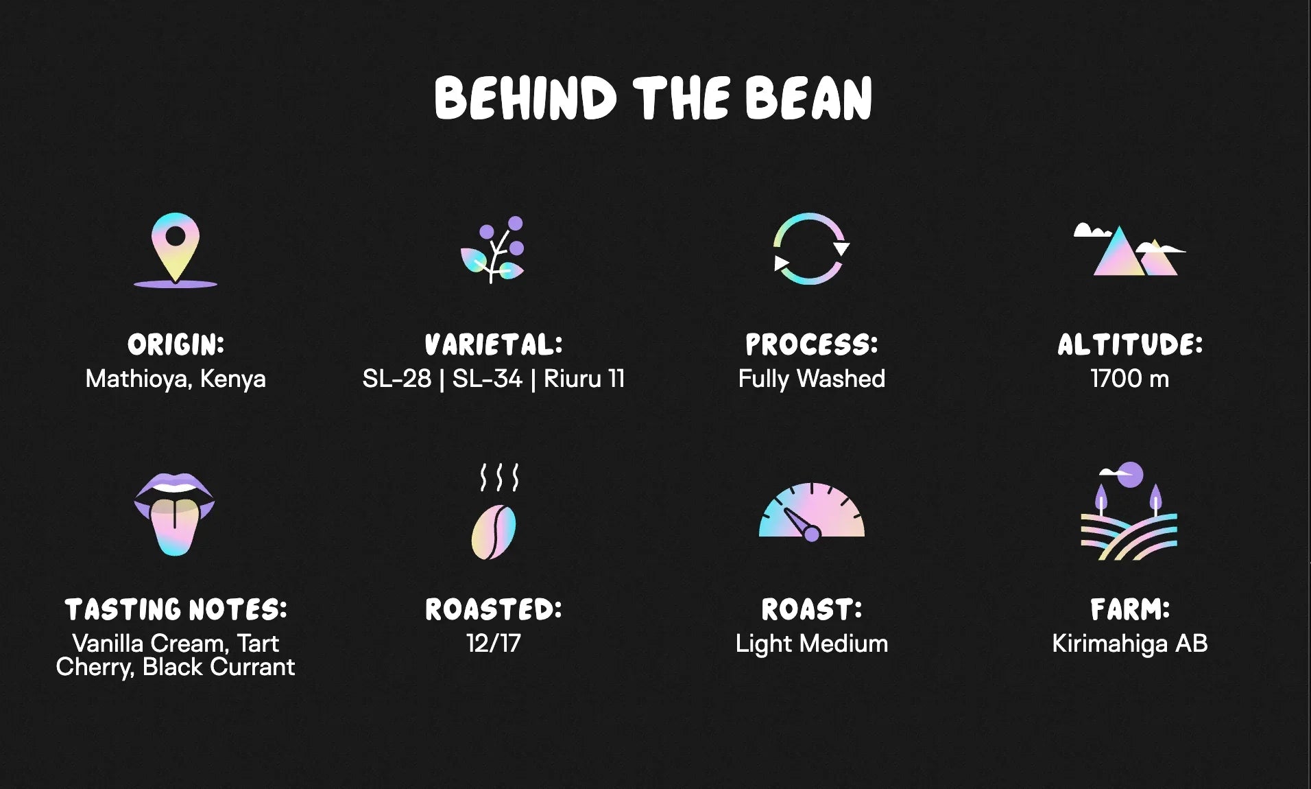 New Light™ - Medium Roast - We The People 