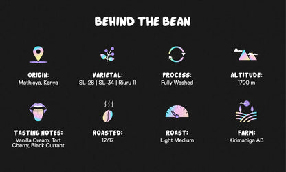 New Light™ - Medium Roast - We The People 