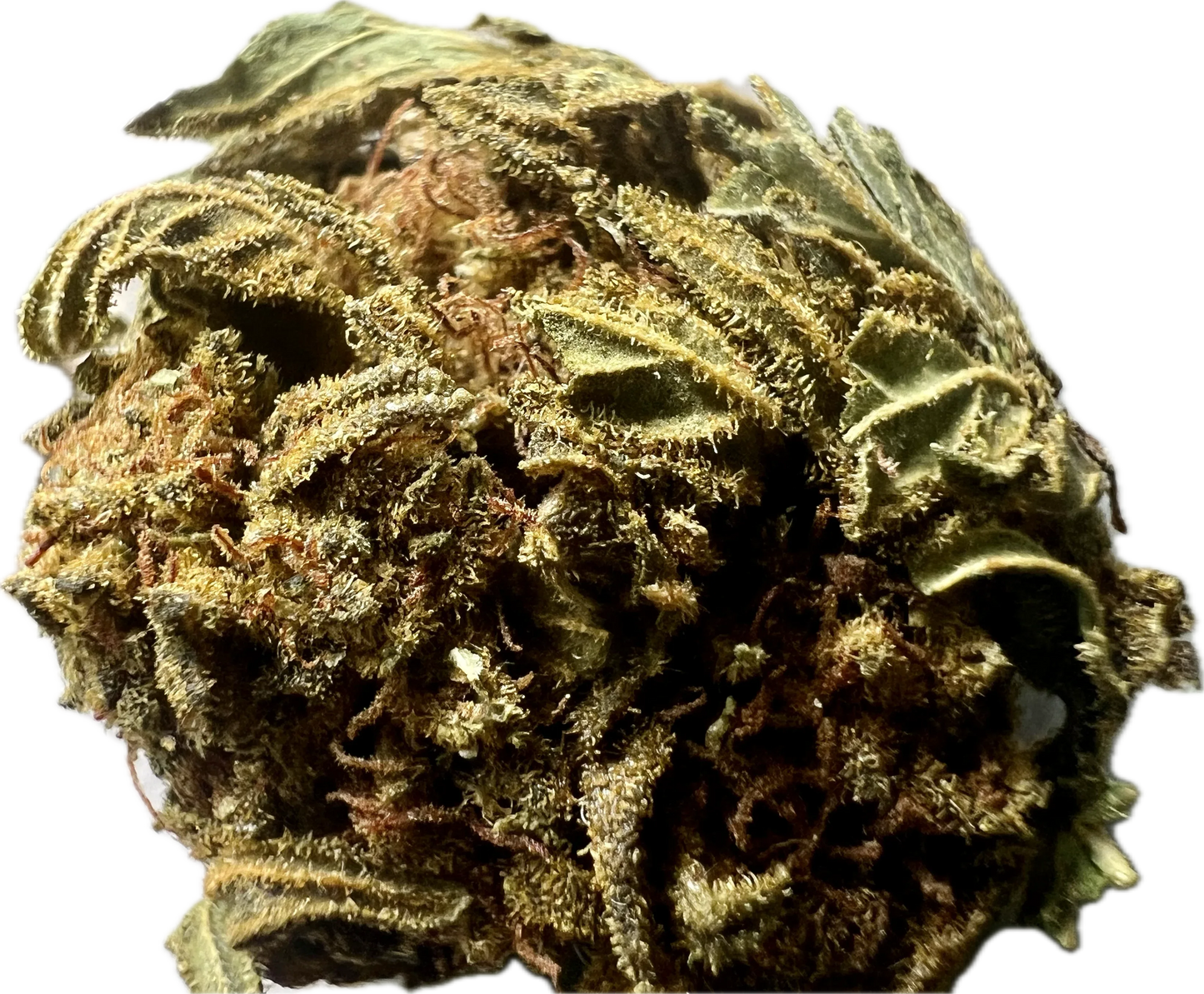 Crack Smuggler THCA Hemp Flower | Premium Indoor | Lab-Tested - We The People 