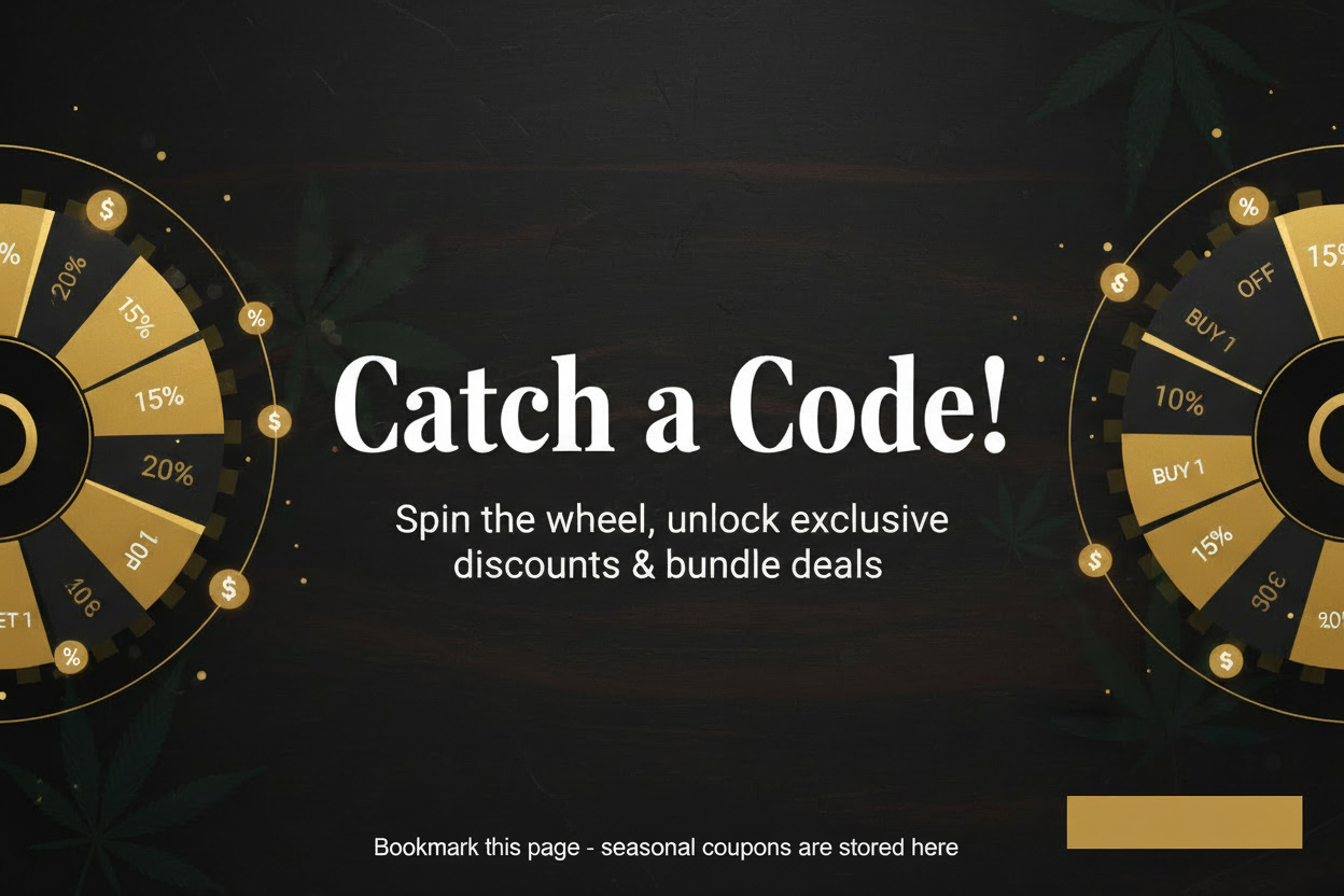 Catch a Code Banner - Final