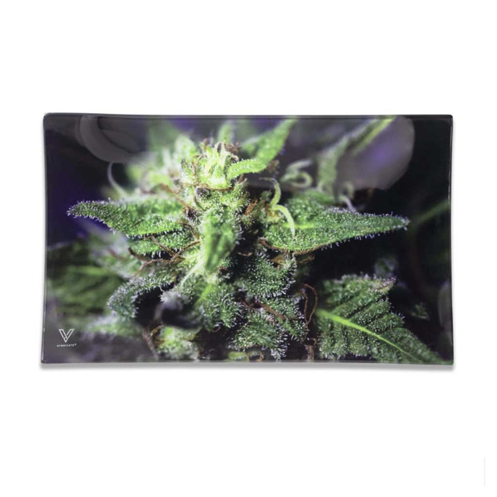 Pulsar Elevated Rolling Tray Kit | Opossum Design 11" x 7"