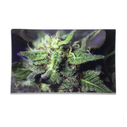 Pulsar Elevated Rolling Tray Kit | Opossum Design 11" x 7"