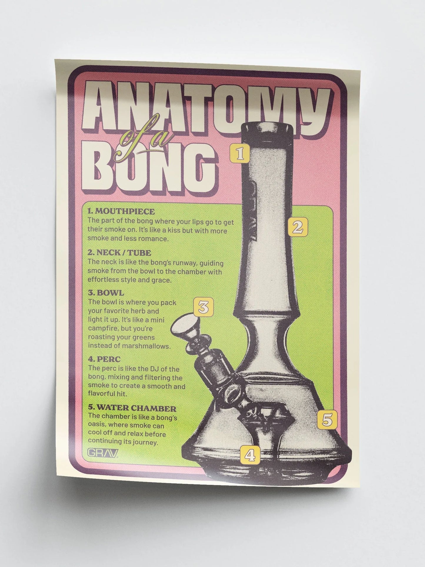 GRAV Anatomy of a Bong Poster - 16 x 24" - We The People 