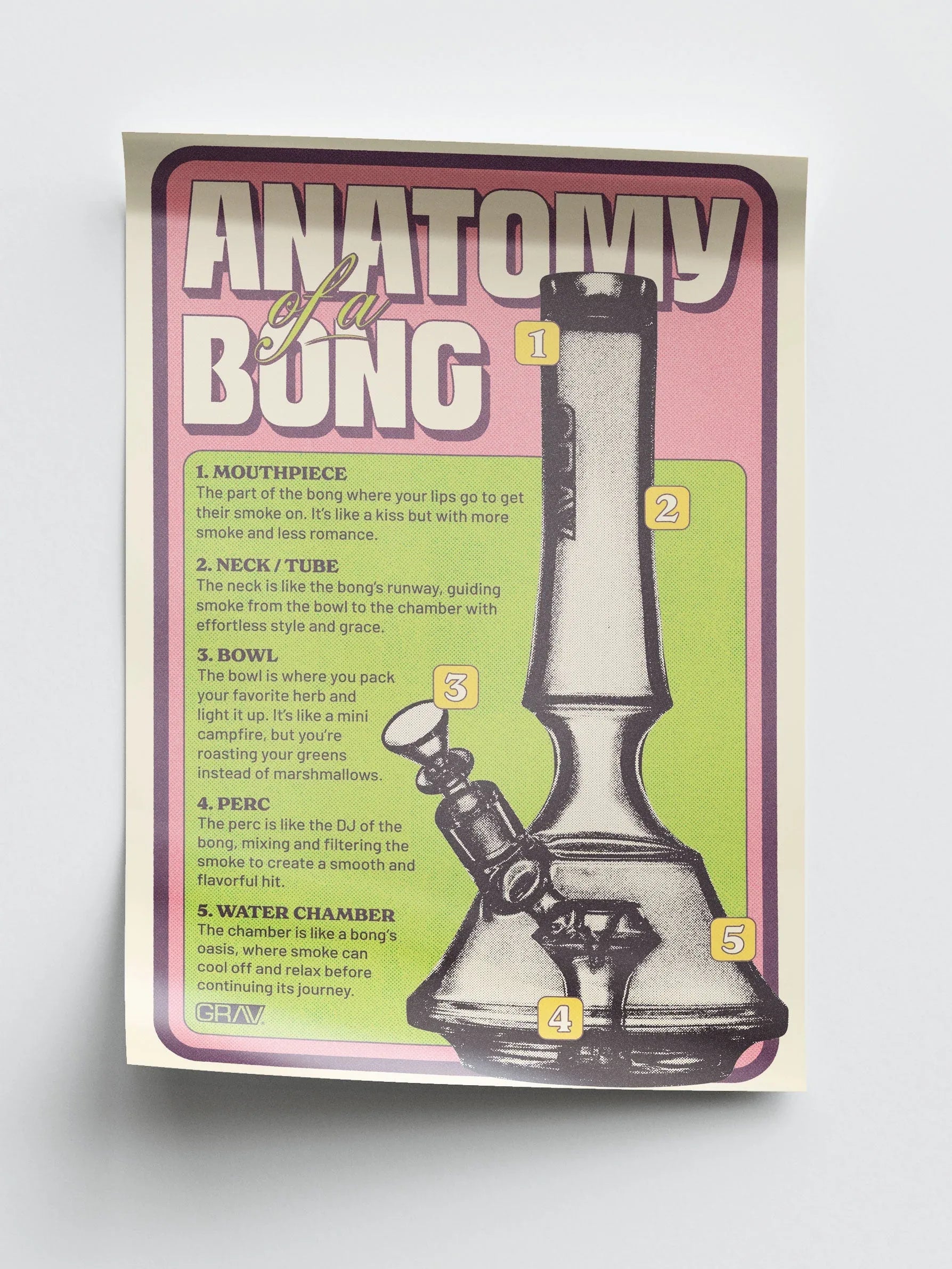 GRAV Anatomy of a Bong Poster - 16 x 24" - We The People 