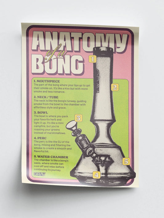 GRAV Anatomy of a Bong Poster - 16 x 24" - We The People 