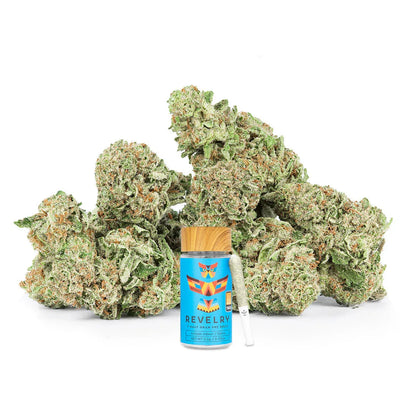 Passion Fruit Punch THCA Pre-Rolls - Sativa - 7 Pack - We The People 