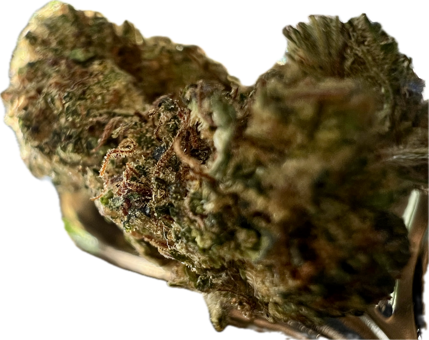 Ripkitty Legendary Kush | CBD Hemp Flower