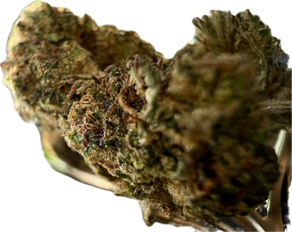 Ripkitty Legendary Kush | CBD Hemp Flower