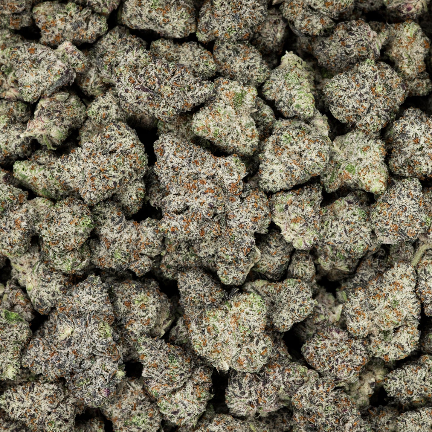 White Truffle THCA Flower - Indica - We The People 