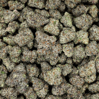 White Truffle THCA Flower - Indica - We The People 