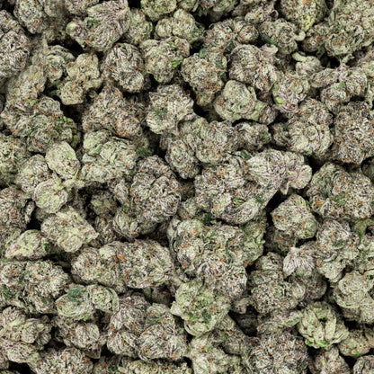 Frosted Runtz THCA Flower - Indica - We The People 