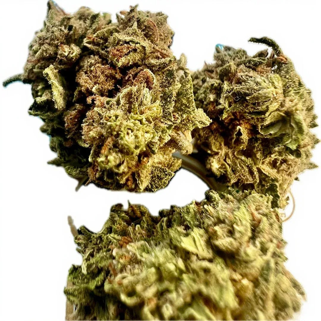 Gelato #33 THCA Flower - Hybrid - We The People 