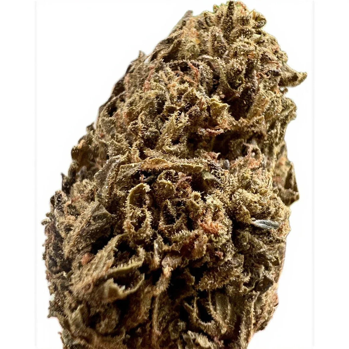 Jungle Driver THCA Flower - Hybrid - We The People 