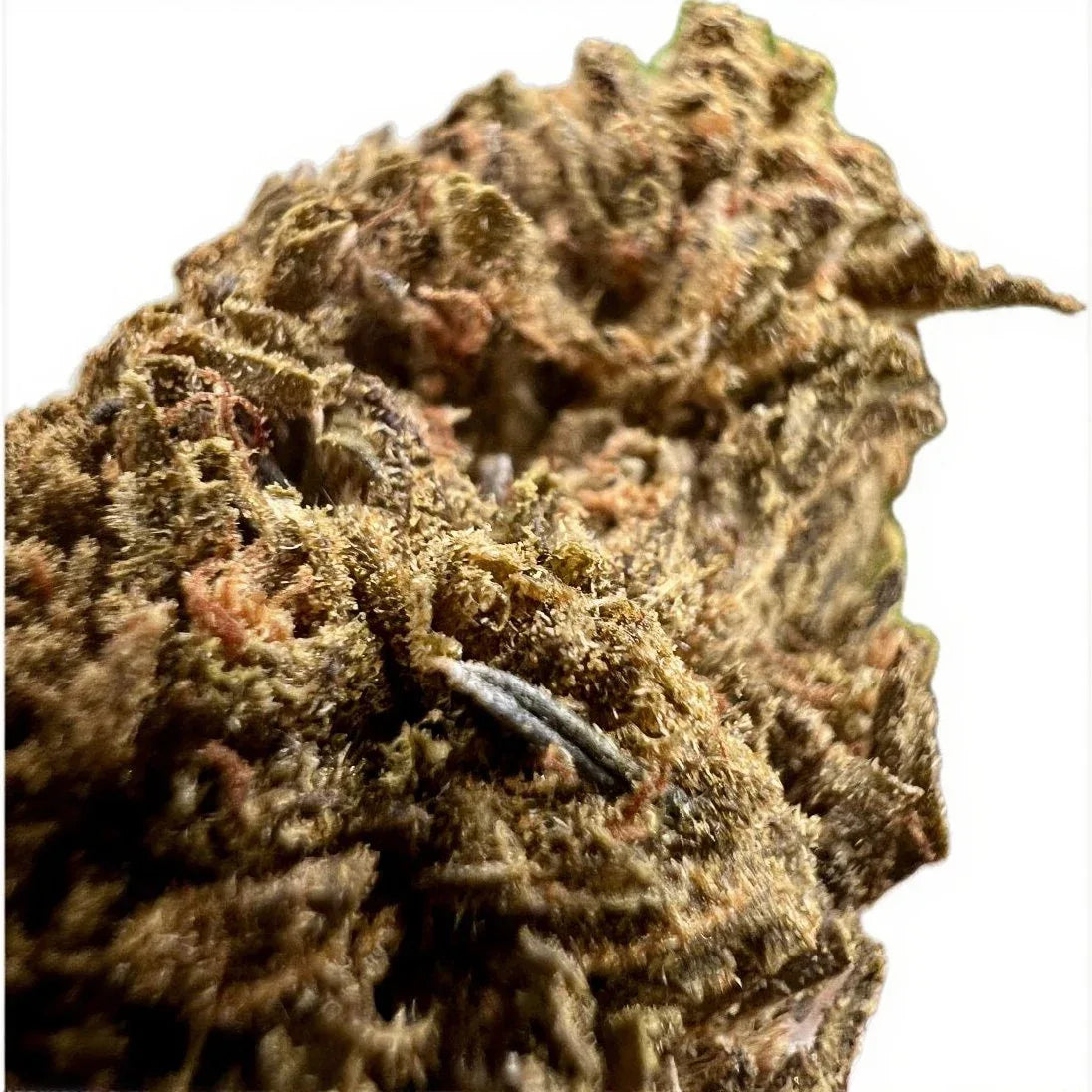 Jungle Driver THCA Flower - Hybrid - We The People 