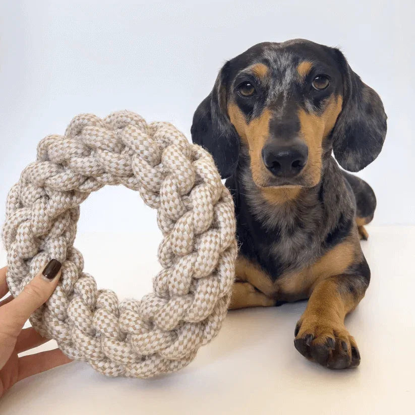 Natural Hemp Rope Dog Toys by Furry Tails Set - We The People 