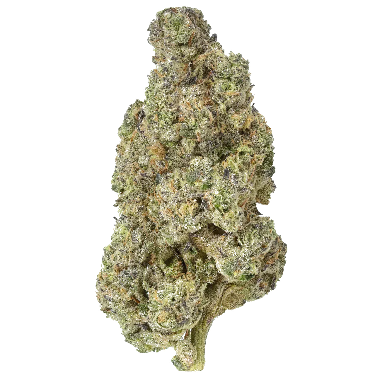 Gush Mintz THCA Flower - Bulk - Hybrid - We The People 